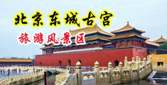 操美女逼视频免费的中国北京-东城古宫旅游风景区